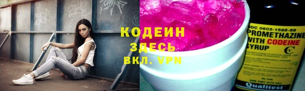 амф Алзамай