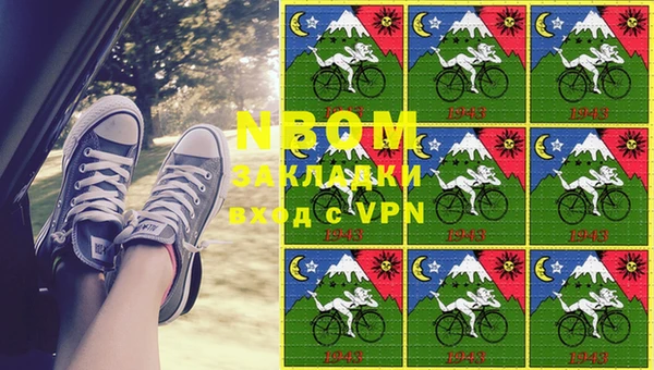 амф Алзамай